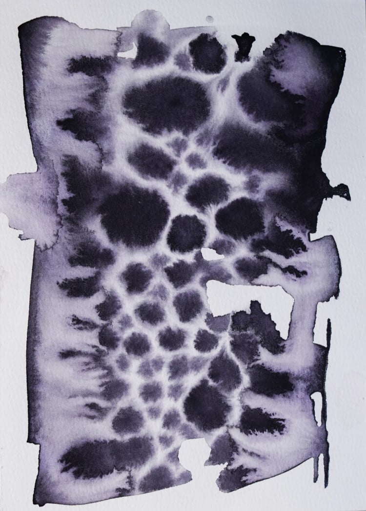 Trigona Series