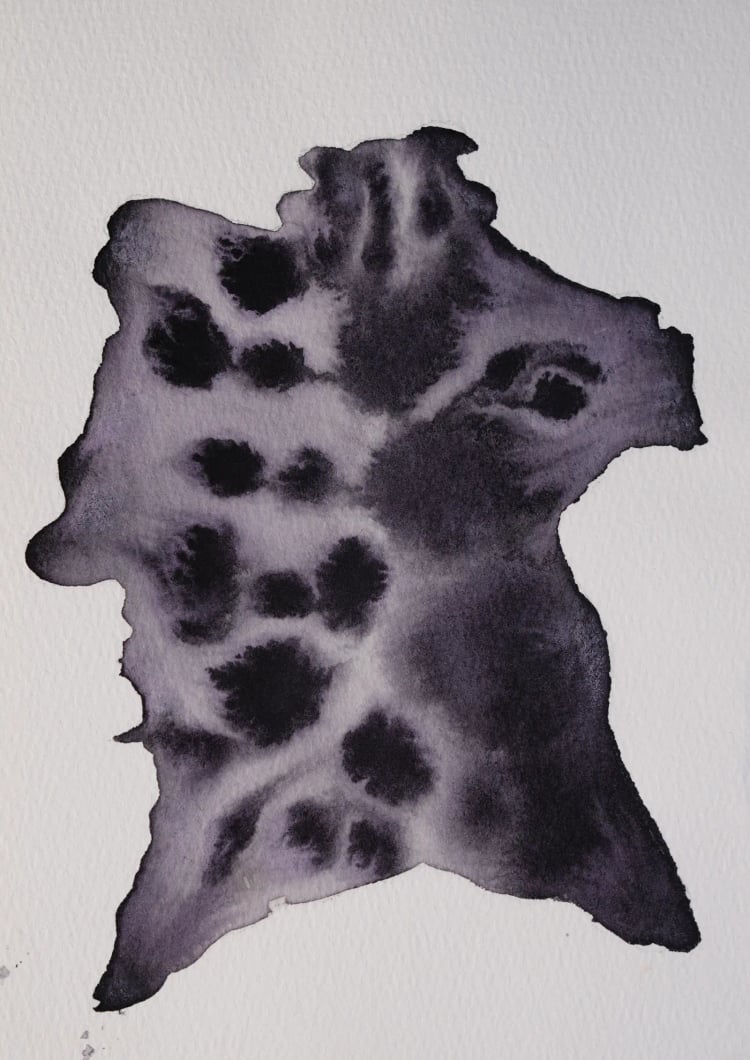 Trigona Series 