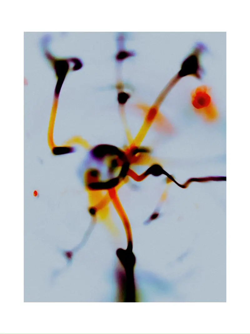 Selective Series 