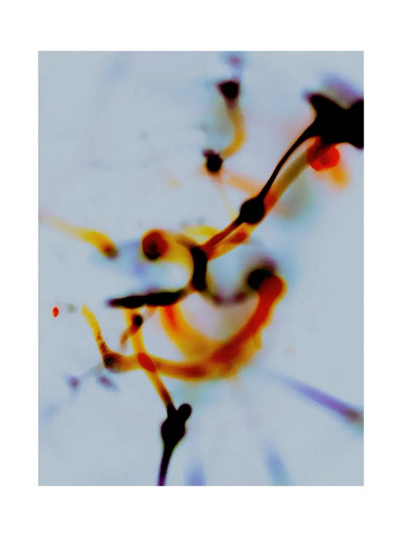 Selective Series