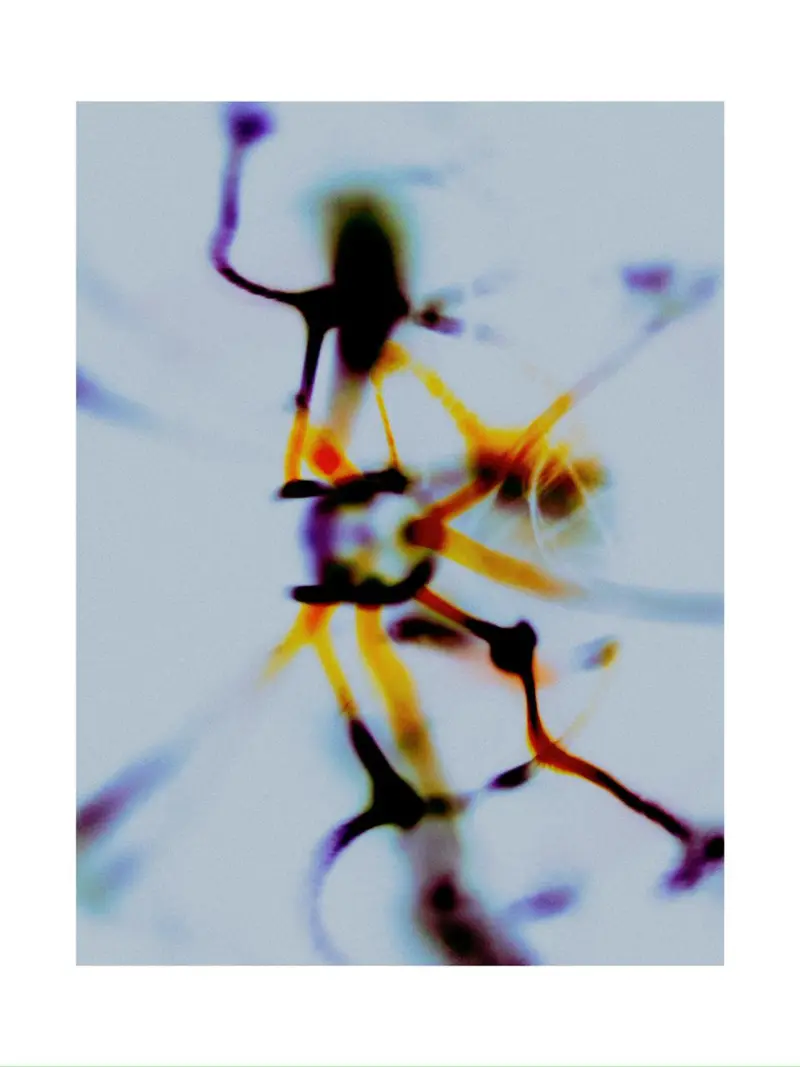 Selective Series