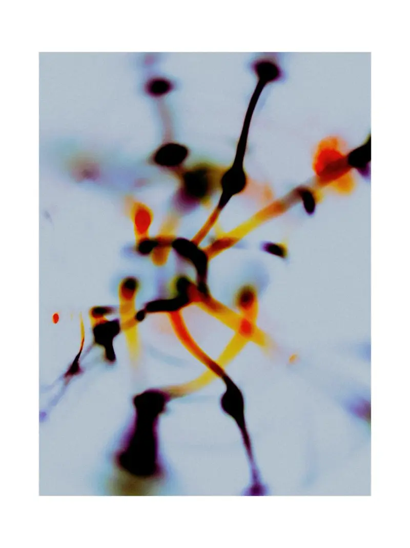 Selective Series