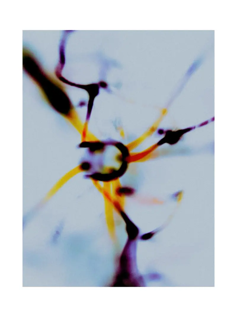 Selective Series