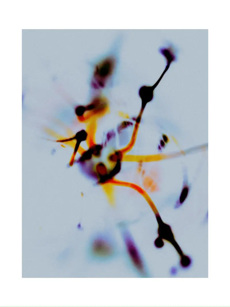 Selective Series 