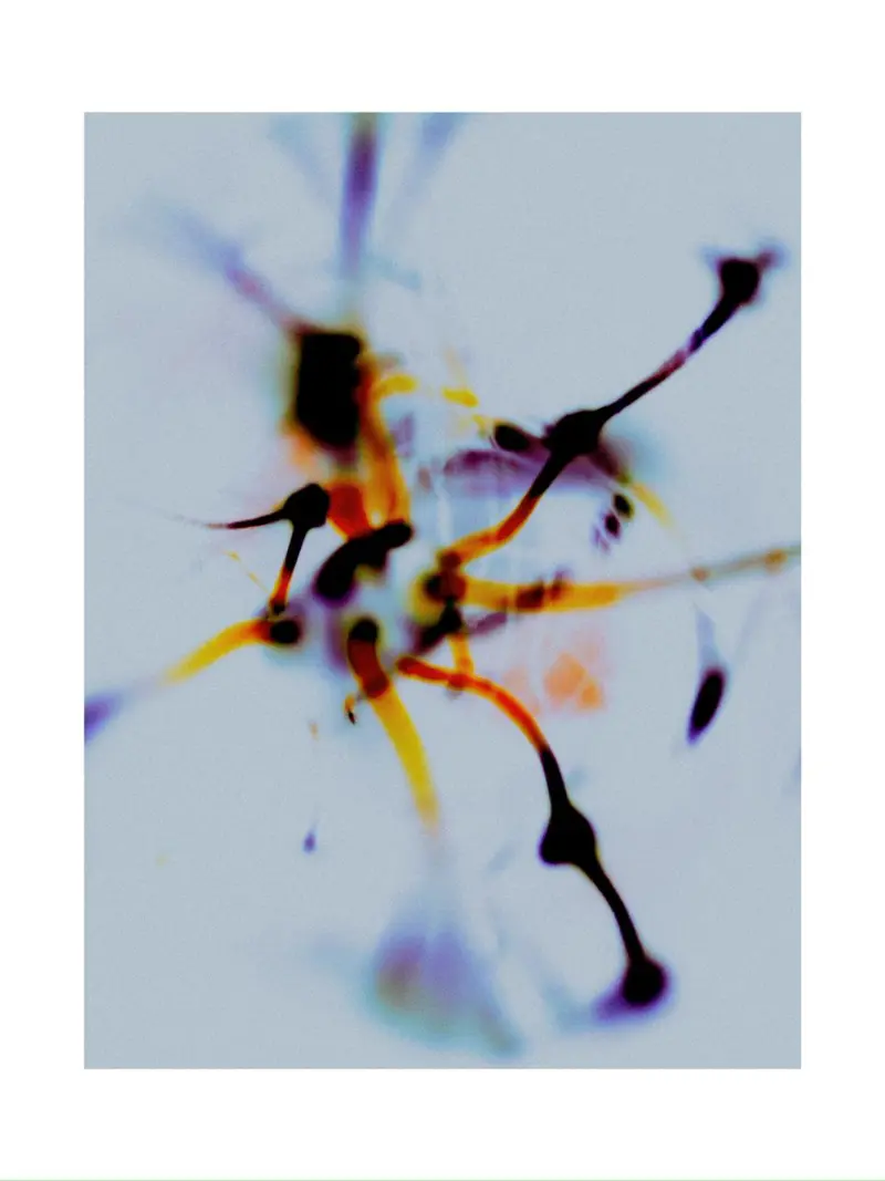 Selective Series
