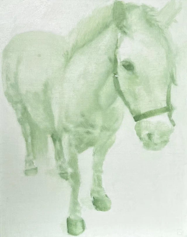A Horse from a Castle