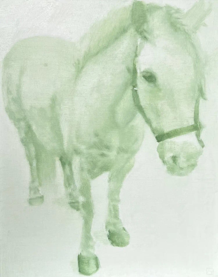 A Horse from a Castle