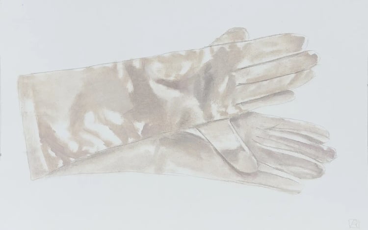 Gloves